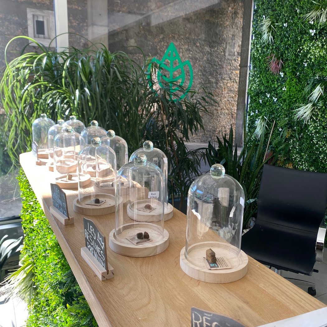 CBD SHOP PARIS - BOUTIQUE CBD - LIVRAISON CBD 3